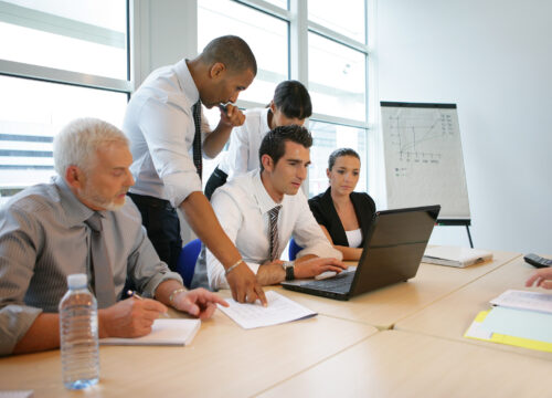 Secure a Business License